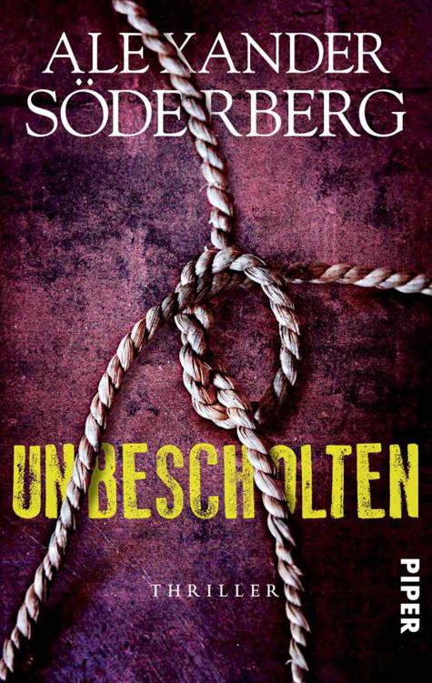 Unbescholten: Thriller