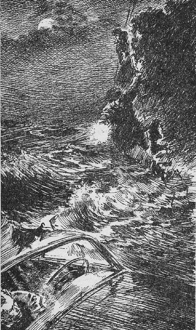 Pim pandoer - 09 - vangt een grijze kat