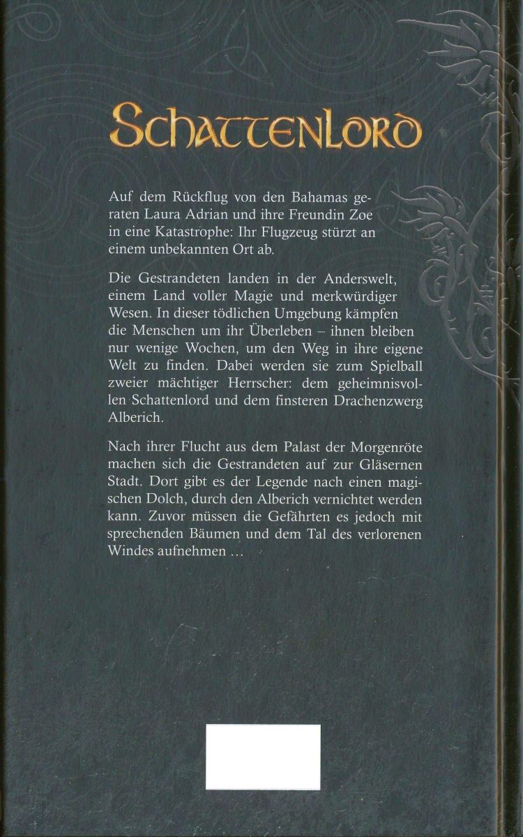 Schattenlord 6 - Der gläserne Turm