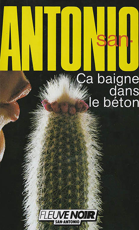 Ça baigne dans le béton